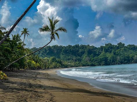 The Top 5 Beaches In Drake Bay Costa Rica 🏖 Greenleaf Bungalows