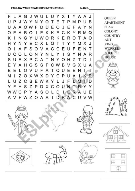 Word Hunt - ESL worksheet by stella.tesser