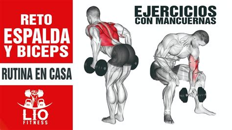 Reto Espalda Y Biceps 🥇 Ejercicios Con Mancuernas Rutina En Casa Youtube