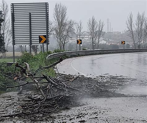 Tomar Concelho Continua Sob Aviso Amarelo Chuva Intensa E Vento