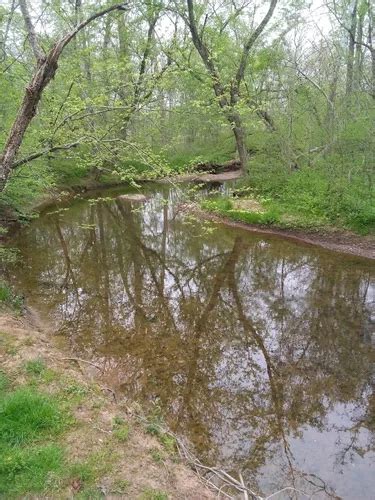 Best Mountain Biking Trails In Conway Robinson Memorial State Forest