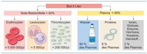 Blut Immunsystem Flashcards Quizlet