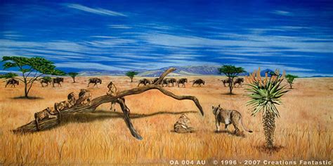 African Savannah 4 Backdrops Fantastic Australia