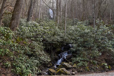 The Best Waterfalls Near Blue Ridge Ga