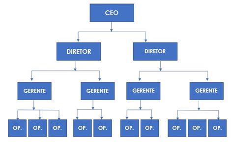 5 Exemplos De Estrutura Organizacional De Uma Empresa