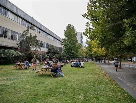 Salud F Sica Y Dental Facultad De Artes Uc