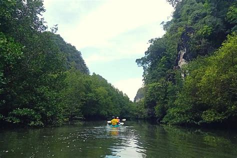 Krabi Kayaking Tour At Ban Bor Thor Ancient Cave Mangroves