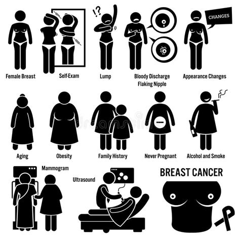 Breast Cancer Risk Factors Infographics Stock Vector Illustration Of