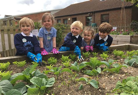 Dorset Gardens Trust Supported Schools In Lockdown