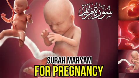 Beautiful Surah Maryam For Pregnancy ️ Watch And Listen Everyday In Pregnancy In 2024 Youtube