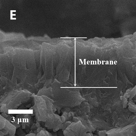 The Sem Images From Top And Cross Sectional View Of Silicalite 1