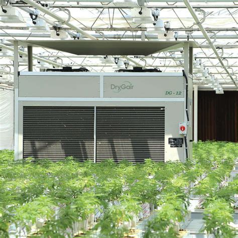 Cannabis Greenhouse Drygair Greenhouse Dehumidifiers