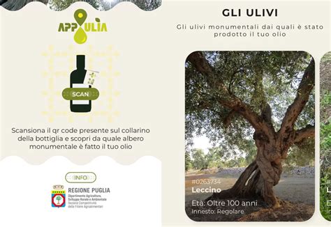 Revolution In Extra Virgin Olive Oil Traceability With Mermec