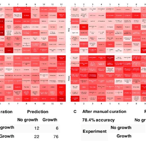 Model Evaluation Using High Throughput Growth Phenotype Data A