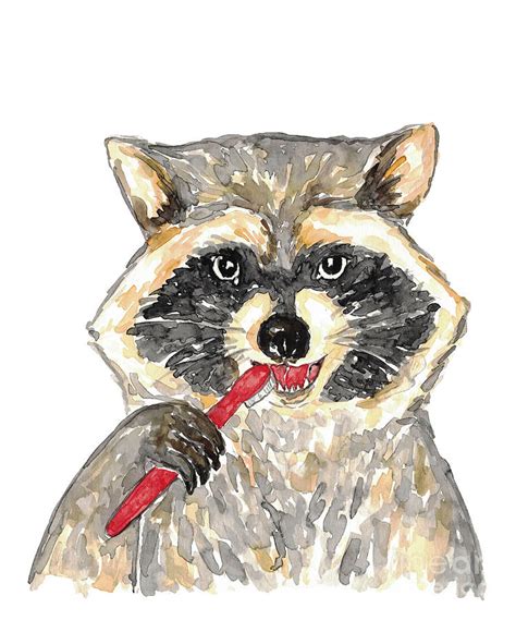 Raccoon Brushing Teeth Bath Watercolor Painting By Maryna Salagub