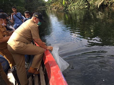 Jaga Keseimbangan Alam Pemkab Mesuji Tebar Ratusan Ribu Benih Ikan