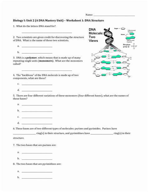 Dna Rna Proteins Worksheet