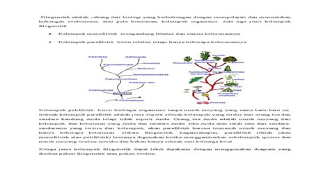 Pdf Pohon Filogenetik Atau Evolusi Docx Dokumen Tips