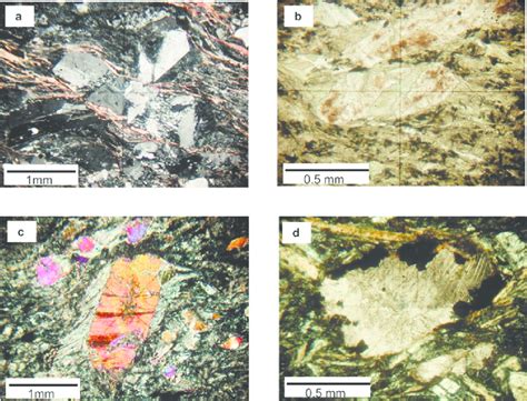 Photomicrographs Of Typical Microstructures In The Different