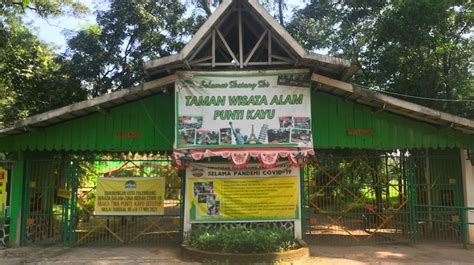 Sempat Ditutup Karena Pandemi Hutan Wisata Punti Kayu Palembang Kini