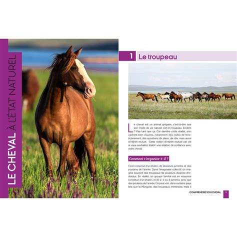 Livre Mieux Comprendre Son Cheval