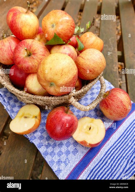 Cesto Di Frutta Immagini E Fotografie Stock Ad Alta Risoluzione Alamy