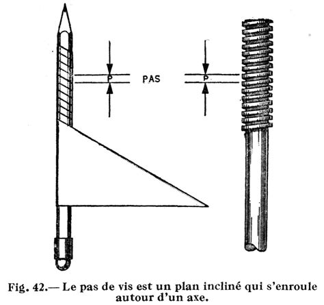 La Vis