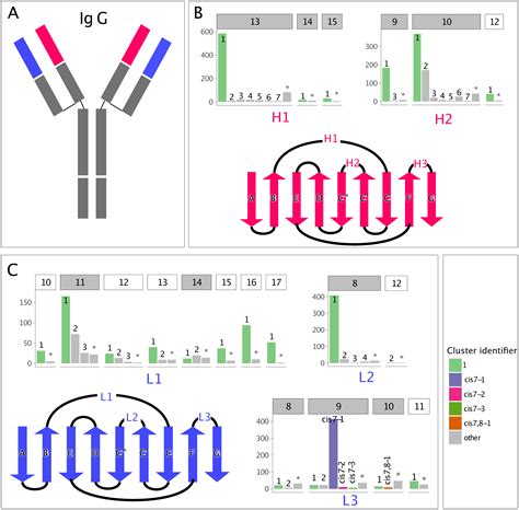 Non H3 Cdr Template Selection In Antibody Modeling Through Machine