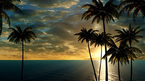 Beautiful Sunset On The Sea And Palm Trees Motion Background Storyblocks