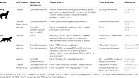 Frontiers Translational Animal Models Provide Insight Into