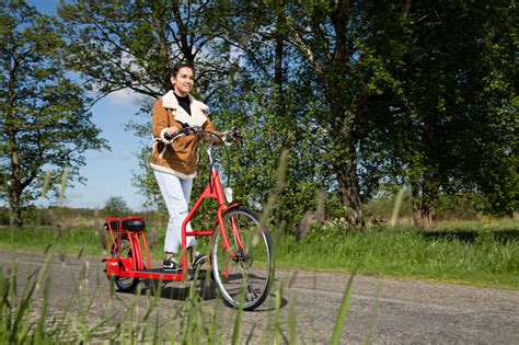 The Electric Walking Bike Sale Online