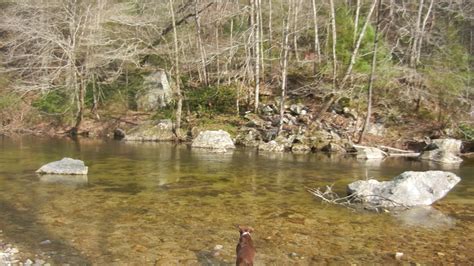 Fishing On Wilson Creek Nc Open Vacation Weeks Blog Open Vacation