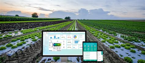 Sap Business One For Agriculture Industry Sap B Erp