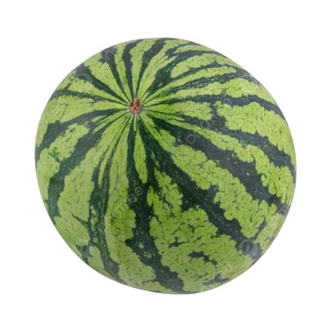 Watermelon Fresh Ripe Green Fruit Watermelon Fresh Mature Png