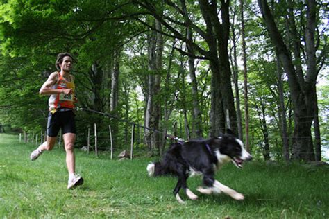 Canicross Du Lac Blanc Station Du Lac Blanc Trails Et