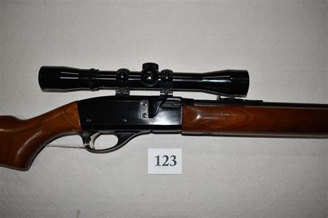 Remington 22 Rifle Semi Auto