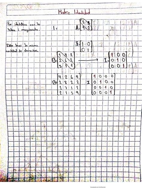 Matrices Identidad e Inversas | PDF