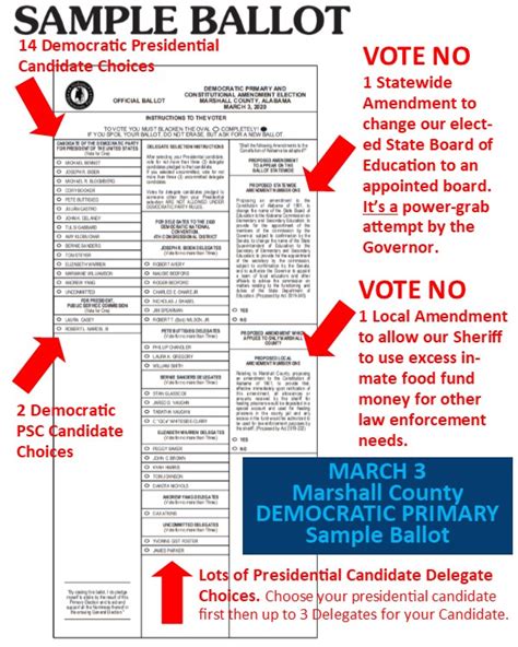 Alabama Primary Election Sample Ballot 2024 Alli Stefanie