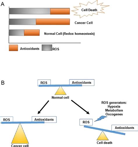 Maintenance Of Redox Homeostasis In Normal Versus Cancer Cells A