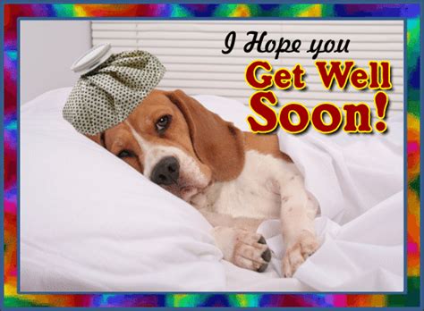 I Hope You Get Well Soon Free Get Well Soon Ecards Greeting Cards