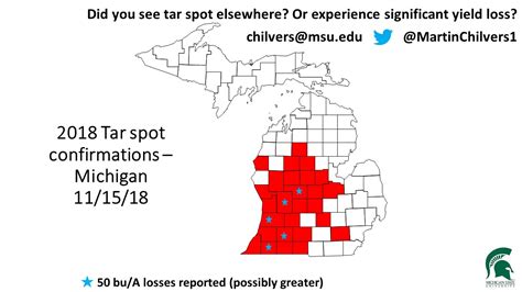 Corn Tar Spot Outlook For 2019 Corn