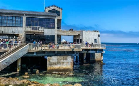 Monterey Bay Aquarium Parking: Best Tips for Your Visit 2022