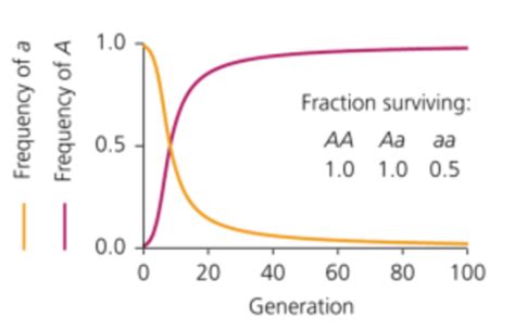 Lecture 15 Natural Selection Adaptation And Fitness Flashcards Quizlet