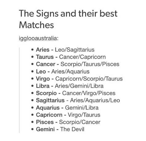 Perfect Match Zodiac Signs Gemini Gemini Zodiac Leo And Aquarius