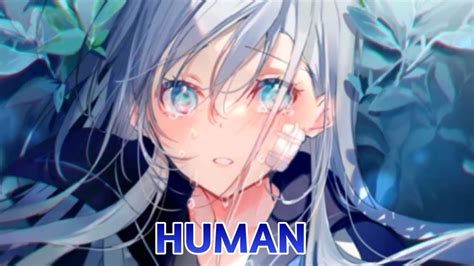 Nightcore Human Lyrics Krewella Youtube