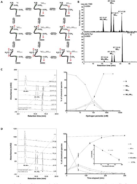 Table 1 From Methionine Oxidation Selectively Enhances T Cell