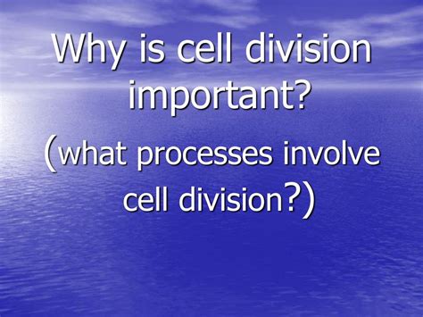 Why Is Cell Division Important Ppt Download