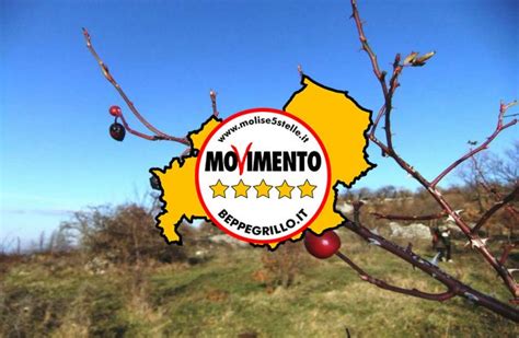 Serata Stelle Nella Valle Del Volturno Movimento Stelle Molise