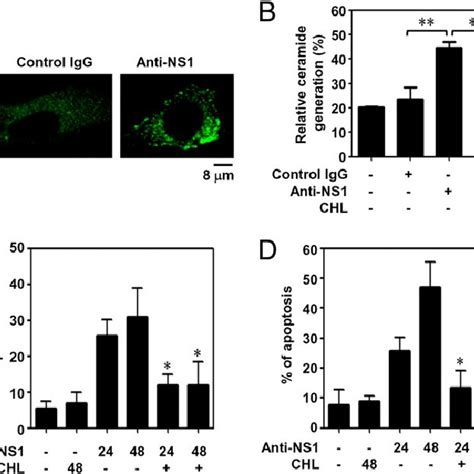 Anti Denv Ns Abinduced Apoptosis Of Liver Endothelial Cells Is