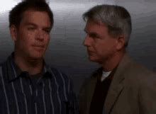 Ncis Gibbs Head Slap GIFs | Tenor